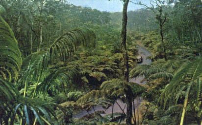 Hawaii Ulusal Ormanı, Hawaii Kartpostalı