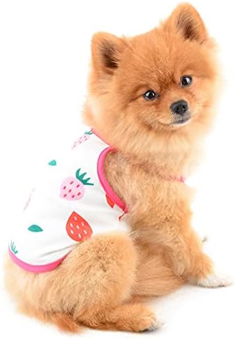 SMALLLEE_LUCKY_STORE Pet Sevimli Gömlek 2 Paket Meyve T-Shirt Tee Küçük Köpek Kedi Erkek Kız Kolsuz Kayış Yelek Tank