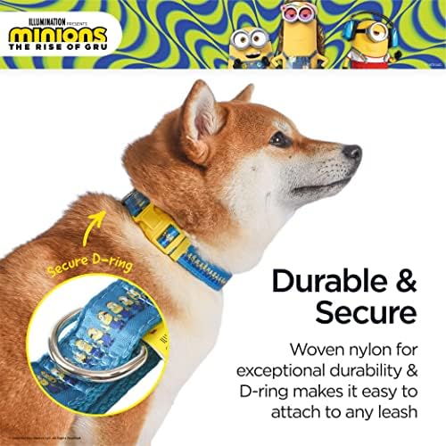 Minions Köpek Tasması, Arka Arkaya Orta, Mavi ve Sarı Minyonlar / Minions Hayranları ve Evcil Hayvanları için Hediyeler