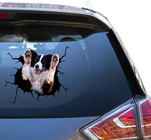 Köpek Araba Çıkartmaları Sınır Collie Kırmızı Sınır Collie Hediyeler Sevimli Uyarı oyuncak arabalar Çocuklar için